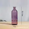 Bestseller transfronteiriço: Vaso de vidro transparente colorido para arranjos florais hidropônicos, ornamento de decoração para casa, garrafa de vidro de boca estreita para flores frescas