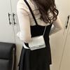 Bolso Pequeño para Mujer Primavera 2025 Casual Nuevo Estilo para Mujer Bolso de Hombro Simple a la Moda Elegante Hermoso Bolso Cruzado