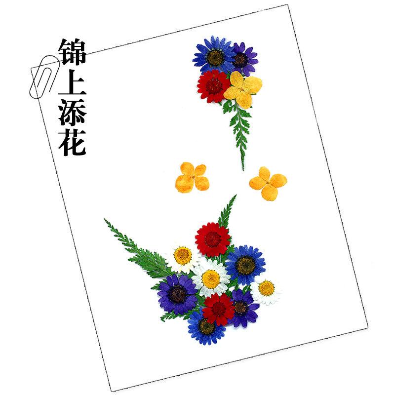 干花材料包-锦上添花.jpg