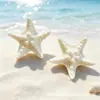 Venda Quente de Verão Estilo Oceano Sapatos Vazados Flor Pequena Fresca Estrela do Mar Concha Acessórios para Sapatos DIY Fivela Compatível com Sapatilhas
