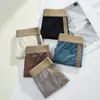 Nueva Malla para Hombre Seda de Hielo Alta Gama Lujo Satín Ropa Interior Transpirable Verano Antibacteriano Boxer Briefs Mayoreo
