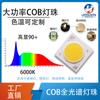Venta al por mayor de fábrica 30W Lámpara LED para plantas de espectro completo de sol Lámpara para fotografía Paquete COB LED de alta luminosidad integrado