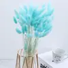 Venta al por mayor de fábrica de Yunnan ramo de flores secas de cola de conejo flores eternas estilo Ins arreglo floral DIY oferta especial de fábrica de cola de conejo