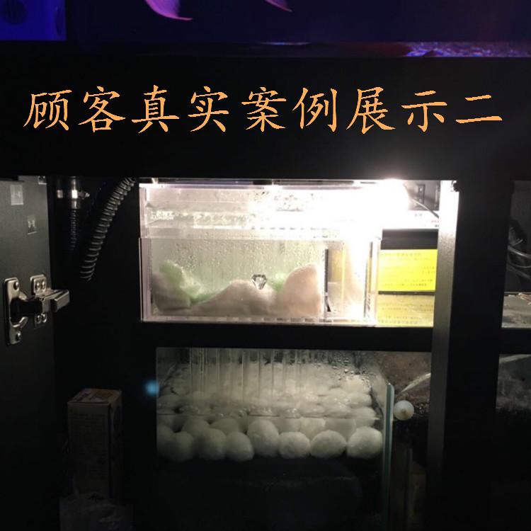 毛球
