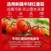 Salsa de Tomate Concentrada Pura para Uso Doméstico, Tomate Rojo de Hemisferio de Xinjiang Directamente Riego, Salsa de Tomate para Saltear y Olla Caliente, Pasta de Tomate