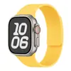 Adecuado para correas de Apple Watch para Apple Watch Series 1-12/Ultra 1-3/Se3, Correa de silicona magnética suave con patrón de lichi