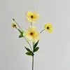 Estilo Ins Flor de Peônia Borboleta Flor Artificial Flor Falsa Decoração de Casa Quarto Sala de Estar Arranjo de Flores de Mesa Adereços de Foto