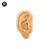 Modelo de Exhibición de Auriculares de Oreja de Silicona Joyería de Pendientes de Oreja Práctica de Limpieza de Orejas Prop de Enseñanza de Simulación del Cuerpo Humano