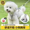 Chaleco de cuerda de tracción para perros, correa para el pecho para mascotas, cuerda para pasear perros, cadena para perros de tamaño pequeño y mediano, Chai Dog, Corgi, Bixie Teddy