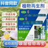 Solución Revitalizante para Plantas, Flores, Plantas Verdes y Plantas en Maceta; Solución Nutritiva Universal para Tallos Amarillos, Árboles del Dinero y Crecimiento de Suculentas