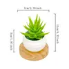 Simulación Nórdica Simple Creativa Mini Suculenta Planta en Maceta Pequeña Adornos Decoraciones para Escritorio de Hogar Oficina