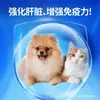 Suministros para Mascotas Tabletas de Cardo Mariano para Protección Hepática para Gatos y Perros, 300 Tabletas, Directo de Fábrica, Venta al por Mayor, Transfronterizo