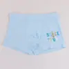 Traga Riqueza e Tesouro Coelho Roupa Íntima Infantil Meninos Cueca Boxer Bebê Modal Masculina e Grande Infantil Boxer Briefs Fornecedor Fabricante 9784