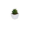 En existencia Simulación de dedos carnosos de bergamota Planta en maceta Decoración de escritorio Regalo Mini planta verde Bonsai TEMU Planta de simulación