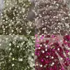 3.6mm Mini Flor de Ciruelo Plana Forma Especial Diamante Vidrio Pedrería Uña Diamante Joyería Pegatina DIY Material de Diamante