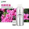 Suministro directo de fábrica de aceite esencial de Rododendro aceite vegetal aceite esencial de un solo lado aromaterapia maquillaje suministro de materia prima