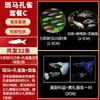 Guppies de Raça Pura, Peixes Ornamentais de Água Doce Pequenos, Peixes Tropicais Fáceis de Criar, Peixes Vivos, Peixes Limpadores, Kinguios Zebra, Peixes Pequenos, Alevinos