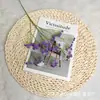 Flores Artificiales 108 Cabezas Goma Suave Gypsophila Flores Falsas al por Mayor Transfronterizo Amazon Más Vendido Decoración de Arreglo Floral de Boda