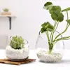 Vaso de Vidro Hidropônico Criativo Transparente Inclinado para Plantas Verdes, Centella Asiática, Nenúfar e Outras Plantas Cultivadas em Água, Vaso de Flores Decorativo