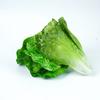 Verduras falsas juguetes de educación temprana para niños hojas de lechuga hojas grandes accesorios de decoración de restaurante modelo de frutas y verduras lechuga de simulación