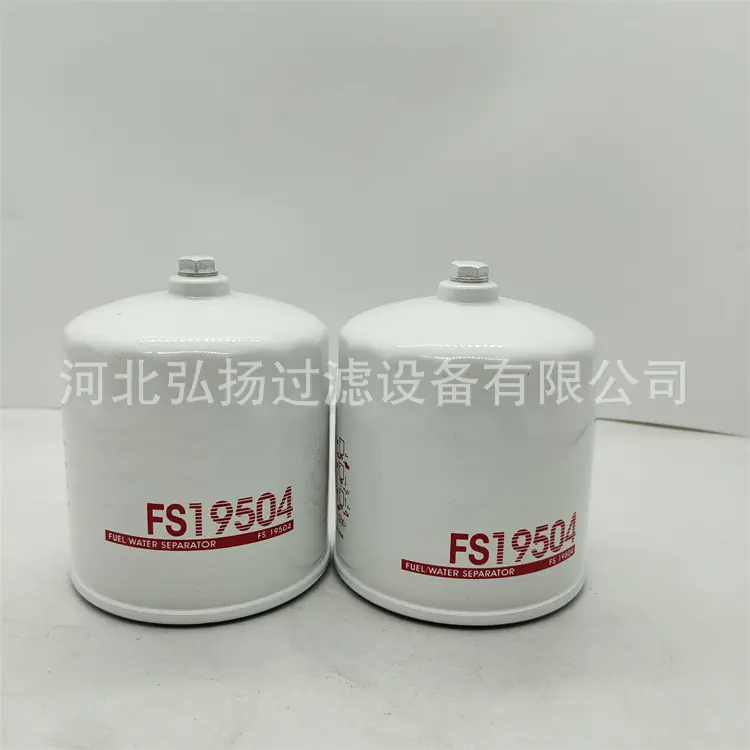 FS19504