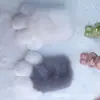 Guantes de Peluche Chirriantes con Forma de Pata de Gato Lindos para Convenciones de Anime, Accesorios de Cosplay, Guantes de Dibujos Animados, Transfronterizo