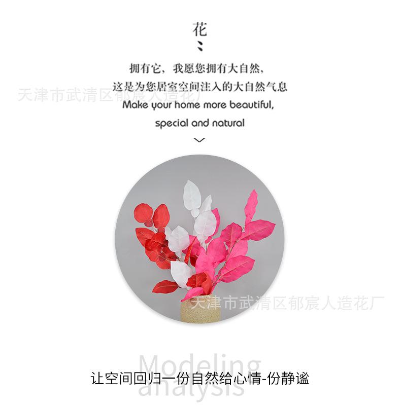 详情_06.png