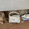 Bolsa Simples de Poá de Nicho Feminina 2026 Novo Estilo Moda Versátil Bolsa Transversal Exquisite Bolsa Tote Pequena de Mão Bolsa Croissant