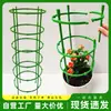 Soporte de Flores Reforzado para Uso en Interiores del Hogar, Tipo Universal para Flores de Pinza de Cangrejo, Soporte de Protección de Hojas, Clip de Sujeción para Enredaderas de Plantas en Maceta, Soporte para Plantas