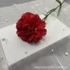 Clavel de Tallo Único Transfronterizo Flor Artificial Día de la Madre Día del Maestro Flor Falsa Arreglo Floral para Sala de Estar Decoración de Boda Material Floral Venta al por Mayor