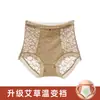 Pantaletas de control de abdomen de cintura alta para mujer, encaje de alta elasticidad, sexys y lindas, nuevos calzones triangulares sin costuras para niñas