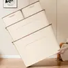 Caixa Organizadora para Uso Doméstico, Caixa Organizadora de Grande Capacidade sob o Guarda-Roupa ou Mesa no Quarto, Organizador Plástico Espessado e Conveniente para Armazenamento sob a Cama