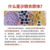 Reactivo de detección de antígeno de Chlamydia trachomatis Aiweikang papel de prueba para detección de enfermedades venéreas kit de detección de Chlamydia para uso doméstico