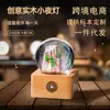 Artesanías de Bola de Cristal Hechas a Mano, Especímenes de Planta de Diente de León, Pequeños Regalos, Luces de Colores para Novias, Mejores Amigas, Decoración del Hogar