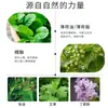 Marca Original Fengyoujing Atacado do Fabricante, Dropshipping Disponível, Óleo Refrescante com Rolo, Refrescante e Revigorante, Óleo de Artemísia, Óleo para Enjoo, Uso ao Ar Livre