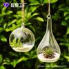 Florero de Vid para Colgar al por Mayor Planta Suculenta Micro Paisaje Decoración Creativa para el Hogar Artesanía Escandinava Zakka
