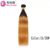 Europa y Estados Unidos cruce de frontera peluca color cabello real cortina de cabello inventario 9 colores cabello humano liso