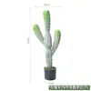 Venta al por mayor planta verde artificial cactus falso columna de cactus bonsái de cactus plantas tropicales de México plantas grandes en maceta