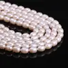 Cuentas de arroz de perla de agua dulce natural AAA de 36 cm de largo collar de arroz de perla semiacabado cuentas sueltas collar pulsera diy