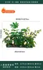 Flores Artificiais Plantas Verdes Conjunto de Divisória Decorativa Flores de Plástico e Seda Decoração de Paisagismo Arranjo de Paisagem Exibição de Janela Interna