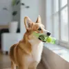 Pelota de Tenis de Goma TPR Flotante, Resistente a Mordidas, Limpia Dientes, que Hace Sonido para Mascotas, Forma de Botella de Vino, para Perros Grandes y Pequeños, Venta al por Mayor