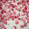 Popular venta caliente en línea joyería para uñas de rosa seco rojo oscuro rosa floreciente luminoso Camelia taladro de uñas