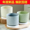 Maceta de Cerámica Popular Transfronteriza Temu con Plato, Diseño Simple para Uso Doméstico, Específicamente para Phalaenopsis, Maceta Estilo Ins para Suculentas y Plantas Verdes