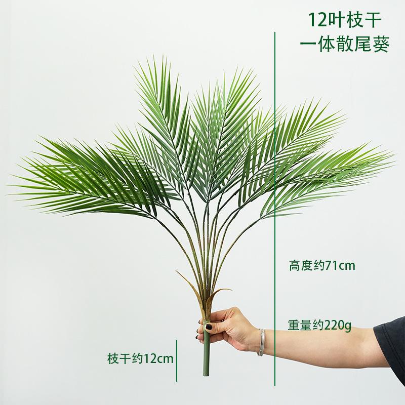 12叶枝干一体散尾