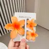 Novo Conjunto de Presilhas de Cabelo Flor de Ovo da Amazon Presilha para Parte de Trás da Cabeça Bauhinia Presilha Tubarão de Temperamento Acessórios de Cabelo Acessórios para Cabeça