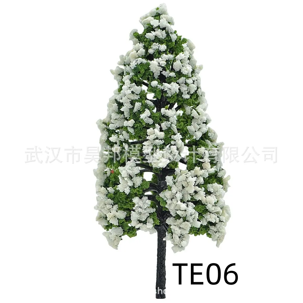 TE06