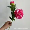 Nuevo Fénix de Dos Cabezas Peonía Flor de Peonía Decoración para Bodas Hoteles Hogares Centros Comerciales Material de Flores Decoración de Mesa