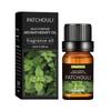 Óleo Essencial de Aromaterapia Desodorizante Transfronteiriço 10ml Máquina de Aromaterapia para Interior Fragrância Duradoura Óleo Essencial de Lavanda para Massagem