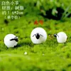 Miniaturas de paisagem pequena ornamentos decorações bonsai jardinagem suculentas escritório plantas em vaso criativas paisagismo diy