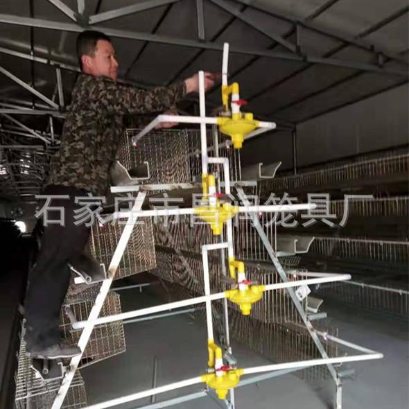 微信图片_20190309172114_副本